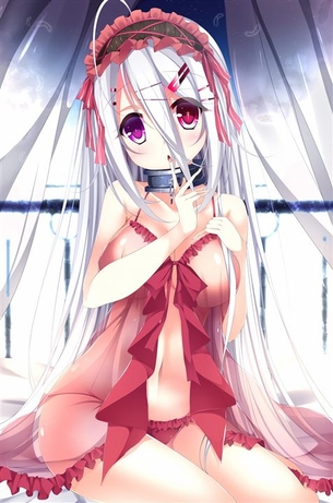【銀髪】クールな銀髪の女の子の二次元エロ画像＆イラスト Part14