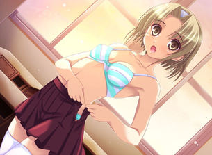 ブラジャー重視な二次元ブラフェチエロ画像