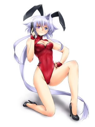 8月21日はバニーの日だったらしいので健全なバニーガール画像