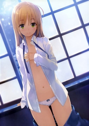 【Fate/stay night】セイバー(アルトリア・ペンドラゴン) 二次元エロ画像＆イラスト Part4