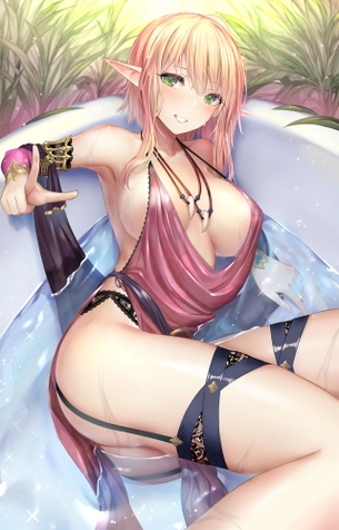 【二次元】エルフ耳美少女達のエロ画像 Part.2 50枚