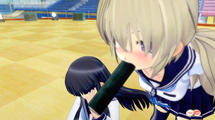 女ですが閃乱カグラというゲームをプレイして日本の男の巨乳信仰に思わず涙が出てしまいました