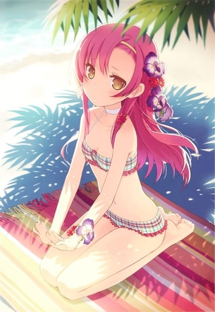 【ハヤテのごとく!】桂ヒナギク 二次元エロ画像＆イラスト Part7