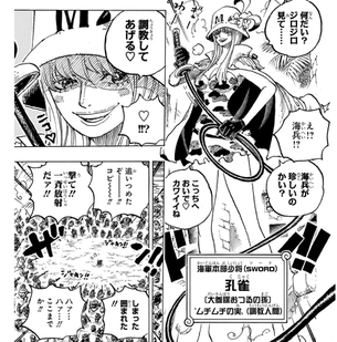 【画像】今週のワンピース、エッチな新キャラが出まくるｗｗｗｗｗｗｗｗｗｗ