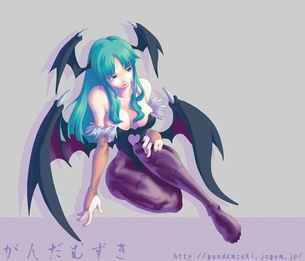 【虹画像】モリガンとリリスのパンスト＆タイツ＆ニーソ画像集 part3