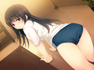 ブルマを復活させるには皆さんの力が必要なんです！