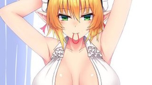 エルフのよさを再確認できるエロ画像