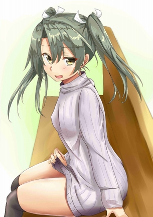 【画像あり】瑞鶴の衝撃画像が流出！？(艦隊これくしょん)