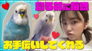 【画像】アイドルさん、寝る前の日課をペットに手伝わせるwwwwwww