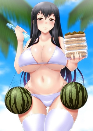 【艦隊これくしょん】赤城のエッチでがっつり抜けるエロ画像