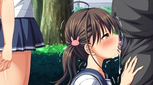 フェラチオの選り抜き画像♪