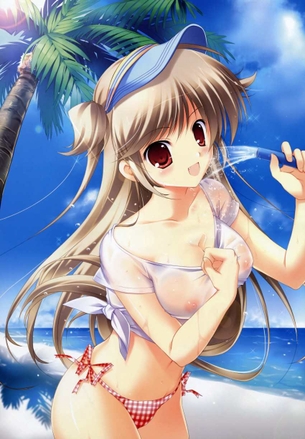 濡れ透けの二次エロ画像で！