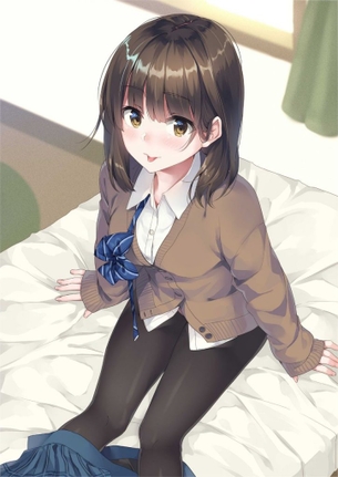 ストッキングのエロ画像下さい