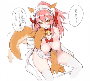 【Fate Grand Order】タマモキャットのえっちで抜けるかわいいエロネタ画像まとめ