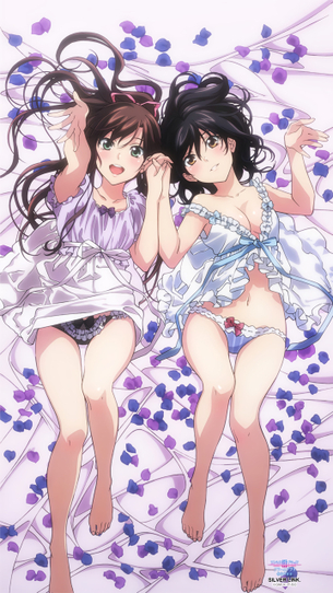 【ストライク・ザ・ブラッド】姫柊雪菜などヒロインのエロ画像 その32
