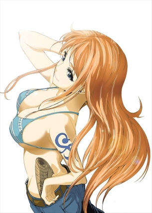 【ワンピース】ナミのエッチでがっつり抜けるエロ画像