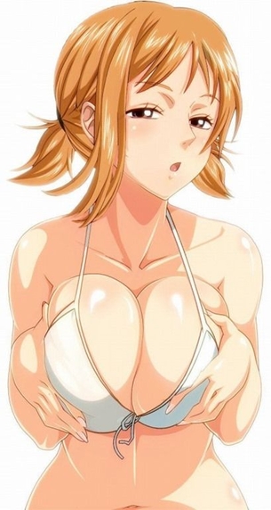 ワンピースのエッチな魅力が分かるエロ画像