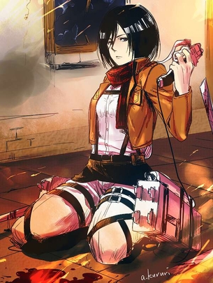 【画像あり】ミカサの衝撃画像が流出！？(進撃の巨人)