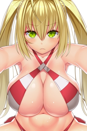 【二次】Fate/Grand Order(Fate/EXTRA-CCC)、ネロ・クラウディウスの愛い画像まとめ！No.03【20枚】