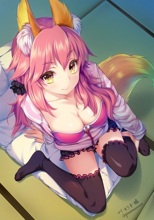 【二次エロ】Fate/Grand Order(Fate/EXTRA)、キャス狐こと玉藻の前のみこーんな画像まとめ！No.02【20枚】