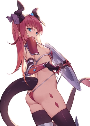【二次】Fate/Grand Orderのランサー 、エリちゃんことエリザベート・バートリーの画像まとめ！No.05【20枚】