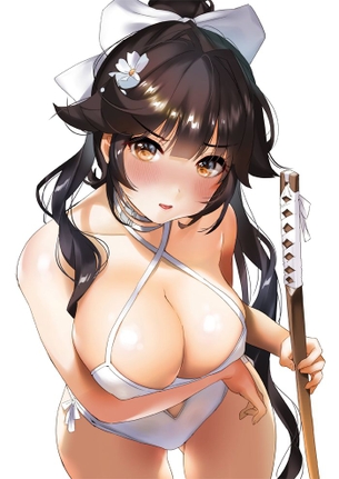 【二次】アズールレーン、高雄の画像まとめ！No.01【20枚】