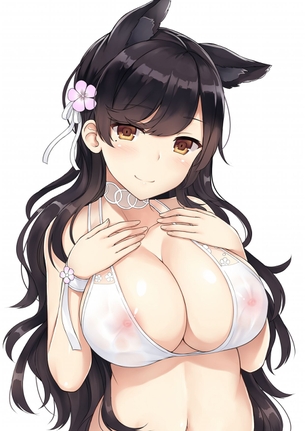 【二次】アズールレーンの重巡洋艦、愛宕の画像まとめ！No.01【20枚】