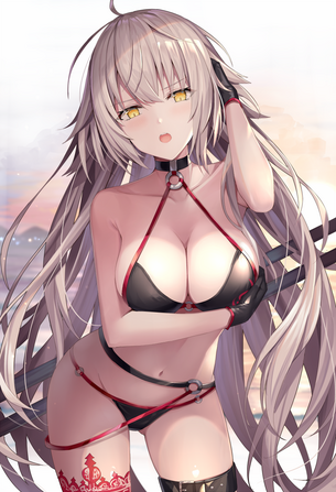 【二次】Fate/GrandOrder、ジャンヌ・ダルク〔オルタ〕のエロ画像まとめ！No.04【20枚】