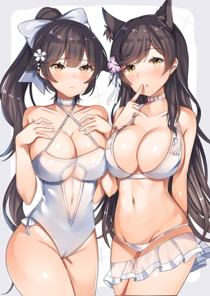 【二次】アズールレーンの重巡洋艦、愛宕と高雄の画像まとめ！No.01【20枚】