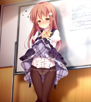 たくし上げでしこれる二次画像ください！