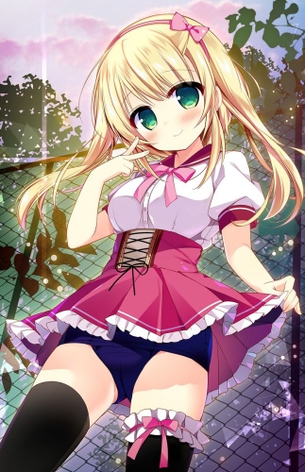 ニーソがエロくてたまんないので画像を収集してきた