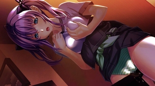 パンチラの二次エロ画像を愛でる。
