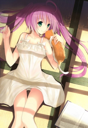 パンチラの抜けるエロ画像ください！