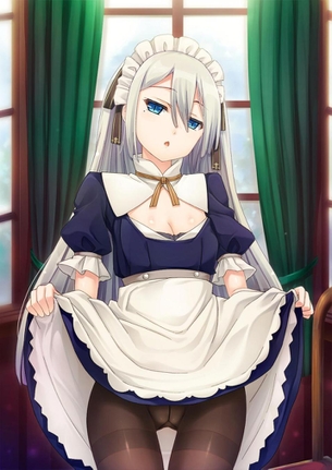 こんな可愛くてえっちなメイドさんがいたらえっちなご奉仕を期待しないわけにはいかない二次元メイドエロ画像