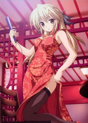 チャイナドレスの二次元エロ画像。