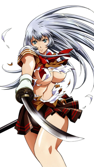 趙雲子龍のセクシーで抜ける二次エロ画像集【一騎当千】