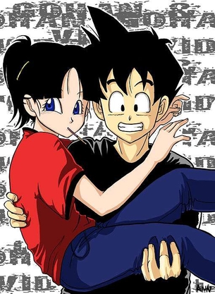 ビーデルの抜けるエッチなセックス画像！【ドラゴンボール】