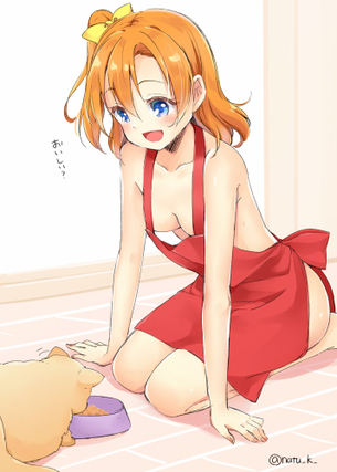 【二次】新婚時代に一度くらいはしてみたい古典的なお約束エロ“裸エプロン”のエロ画像