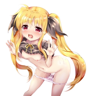 【魔法少女リリカルなのは】なのはの無料(フリー)の二次エロ画像集