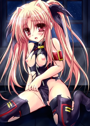 【魔法少女リリカルなのは】二次元の世界に行ってなのはとめっちゃハメハメしたいと思わせるエロ画像まとめ