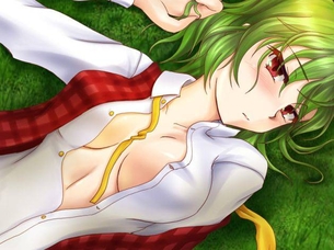 【エロ画像】東方Project 風見幽香と漫画みたいなHがしたくなる抜きヌキ二次エロ画像