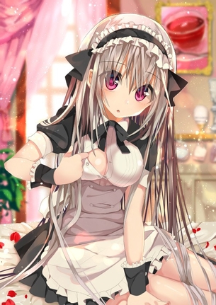 えっとで可愛いメイドさんに毎日お世話されてみたいーって妄想が止まらないからメイドさんの二次元エロ画像をまとめてみました。