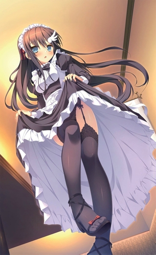 朝も夜もえっちなご奉仕が出来るようにいつでも準備しているメイドさん・・・変態かな？メイドは痴女の巣窟な二次元エロ画像w