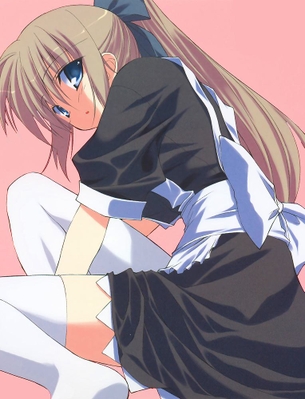 えっちで可愛いメイドさんを雇いたいんだけどどこに行けばいいの？あ、モニターの中にいるじゃないか！