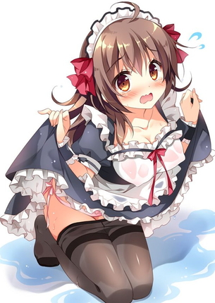メイドさんがスカートたくし上げておパンツとかガーターベルト丸見えな二次元エロ画像