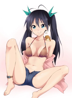 アイドルマスターの画像フォルダを公開する！