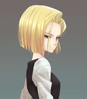 18号のセクシーで抜ける二次エロ画像集【ドラゴンボール】
