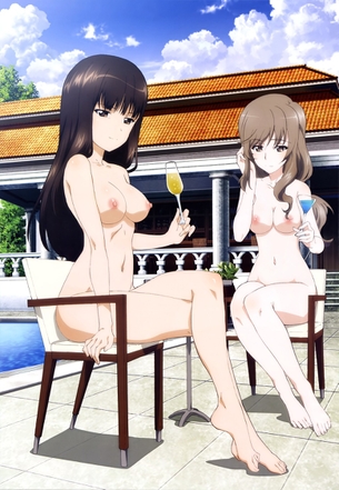 ガールズ&パンツァーの剥ぎコラその31
