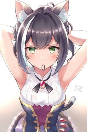 【二次エロ】プリンセスコネクト!Re:Dive（プリコネ）、猫の獣人キャルちゃんの画像まとめ！No.04【20枚】
