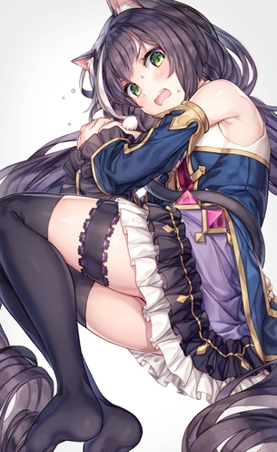 【二次エロ】プリンセスコネクト!Re:Dive（プリコネ）、猫の獣人キャルちゃんの画像まとめ！No.02【20枚】